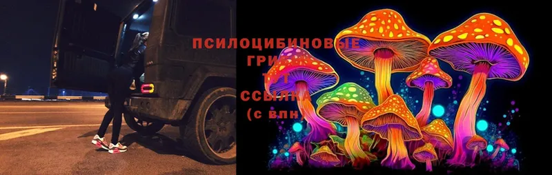 Галлюциногенные грибы Magic Shrooms  blacksprut ТОР  Чёрмоз  сколько стоит 